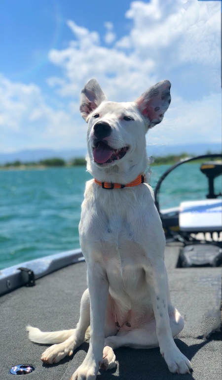 Oakley