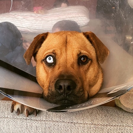 Max