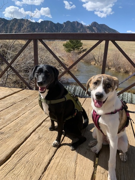 Ramona & Ruby