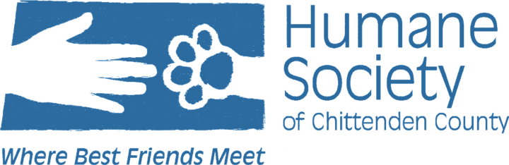 Logo for 3rd Annual Fabulous Feline Foto Contest