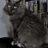 Entry image for Mister