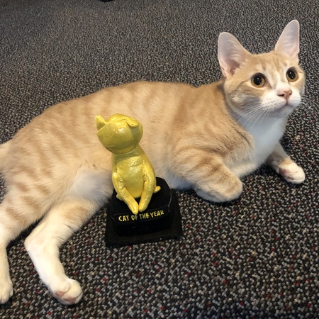 Entry image for Winnie. Clicking this image will show a larger photo