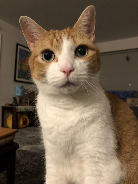 Entry image for Butters . Clicking this image will show a larger photo