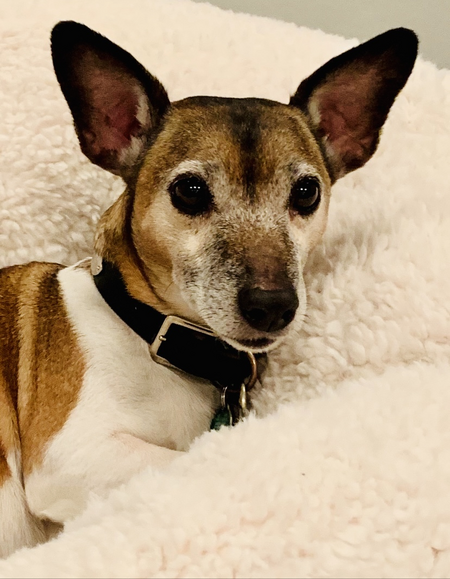 Sampson "Sammy" Sosa
