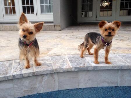 Ava and Sophie