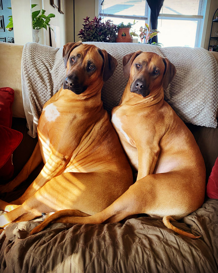 Naiya & Kovah
