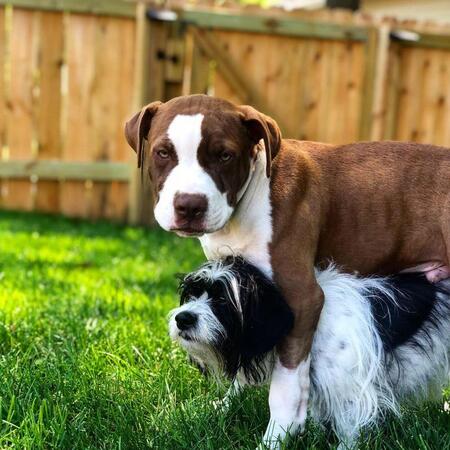 Kane and Charlie