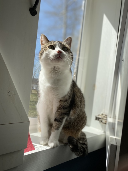 William