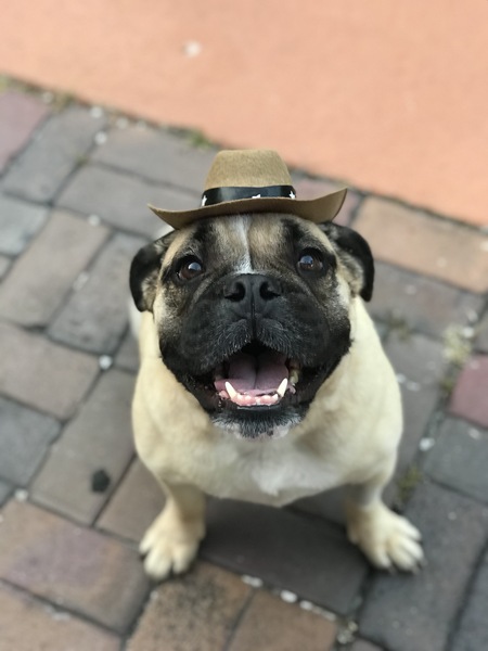 Mr. Biggs