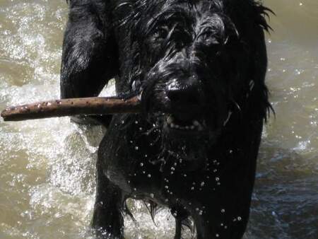 Lennox