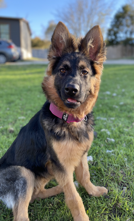 Ellie