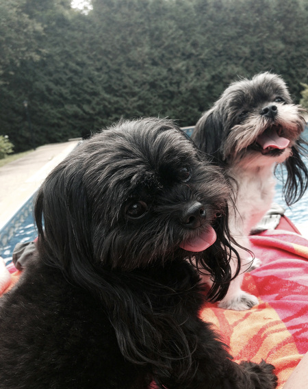 Minnie and Coal