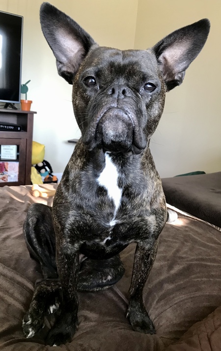 Walter