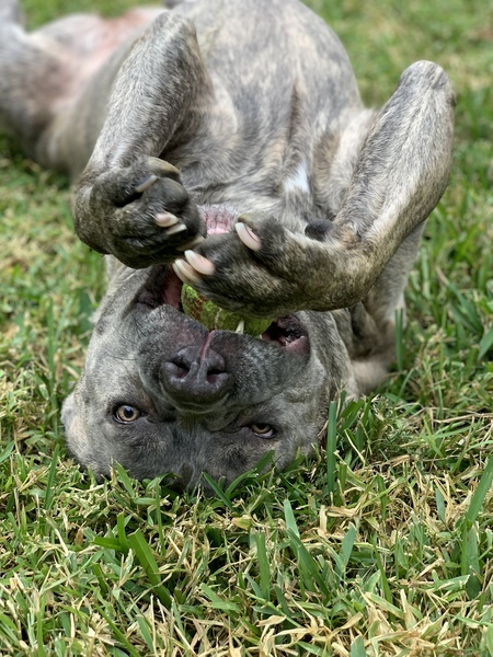 Luna