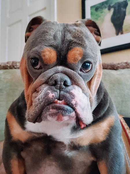 Winnie 
