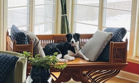 Nova