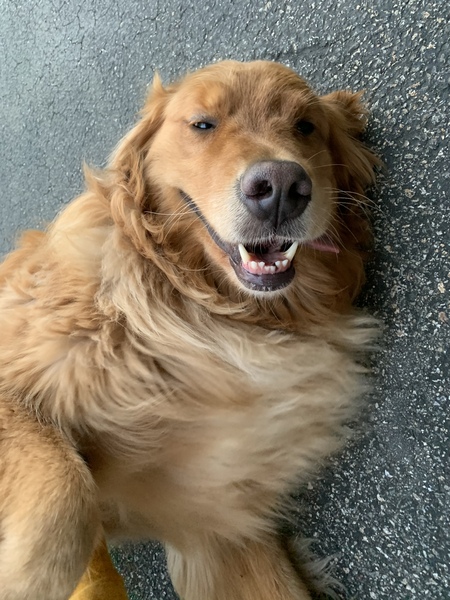 Winston