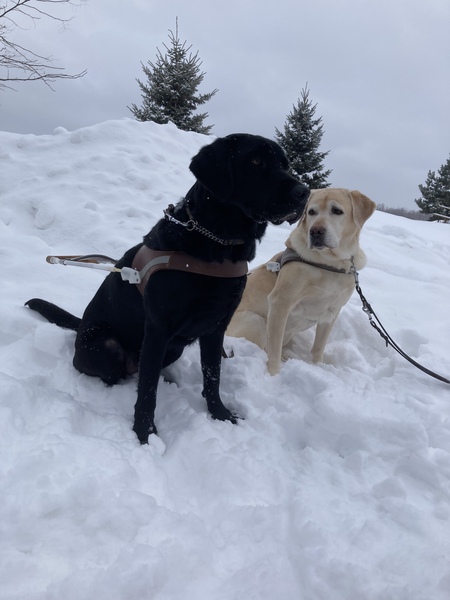 Zoe and Benson (Barstow)