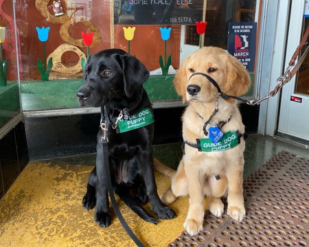 Sable & Limerick