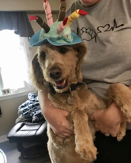 Frankie
