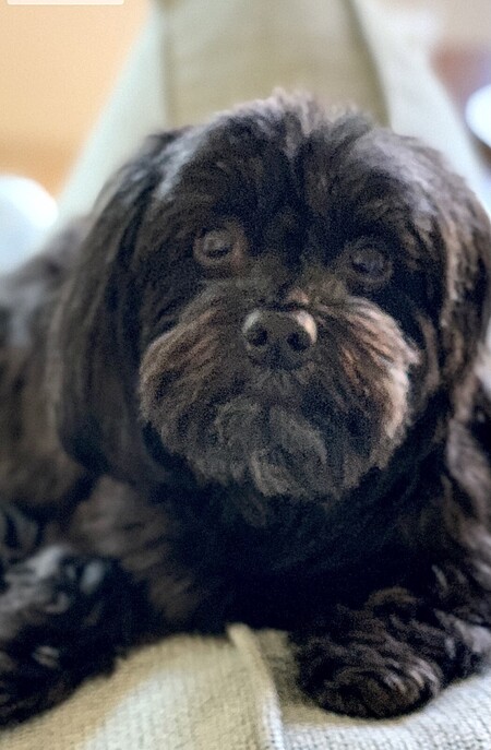 Molly
