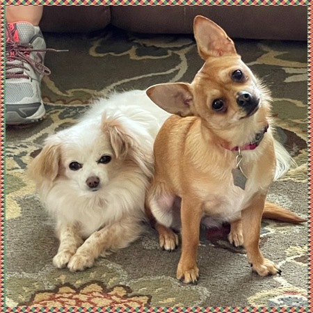 Chloe and Bella