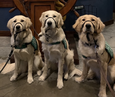 Molly, Marv, Madras