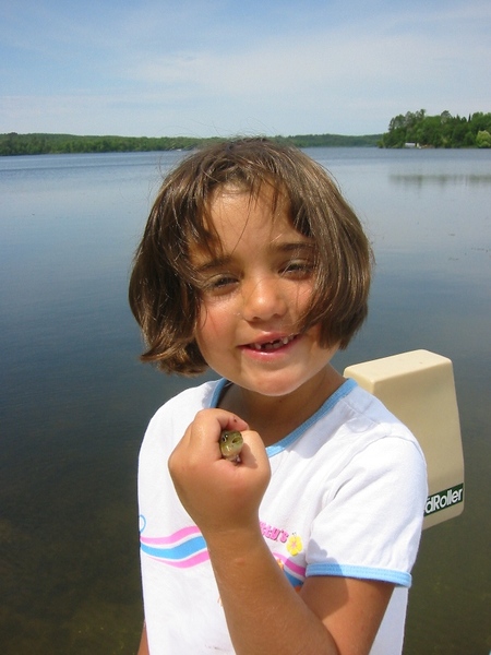 Mitchell Lake Perch