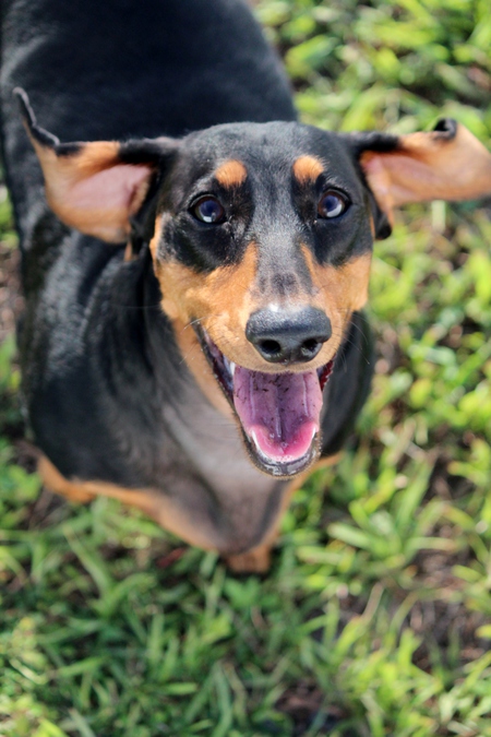 Gio