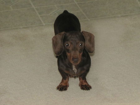 Chloe