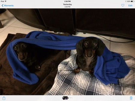 Elsa and Daisy May