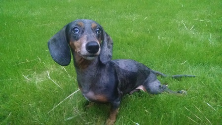 Jack