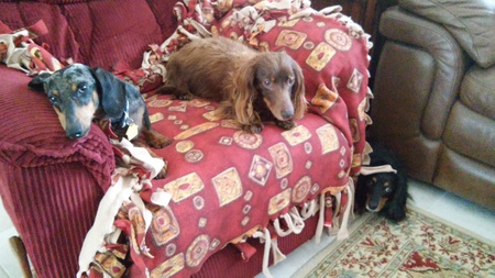 Geordi, RD & Sadie