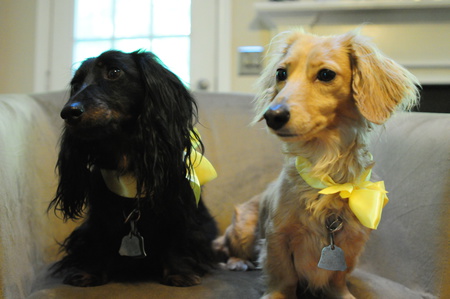 Charlie and Wendy
