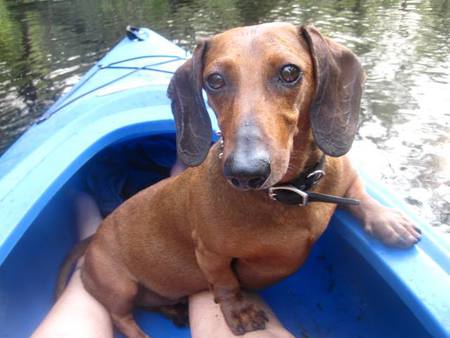 Hoagie