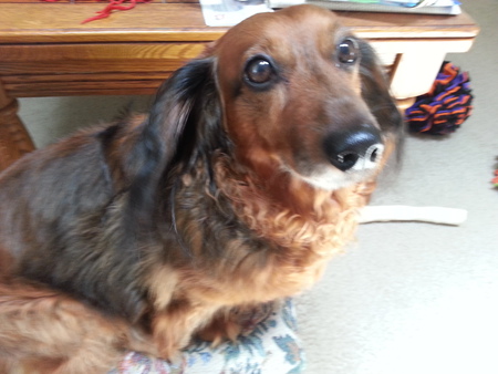 Annie