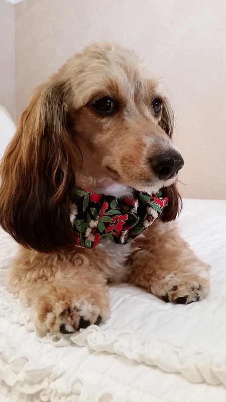 Sadie