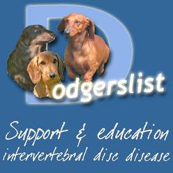 http://www.dodgerslist.com/