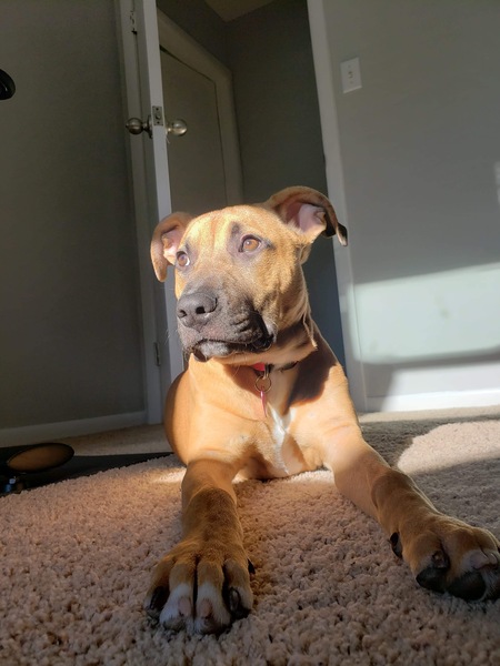 Lucy
