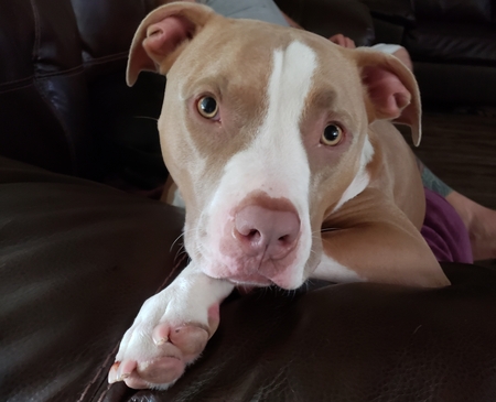 Cooper