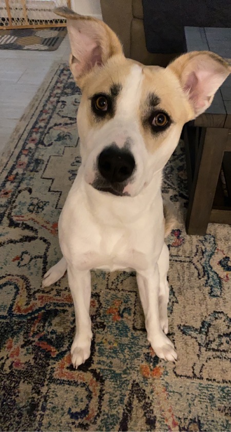 Mia