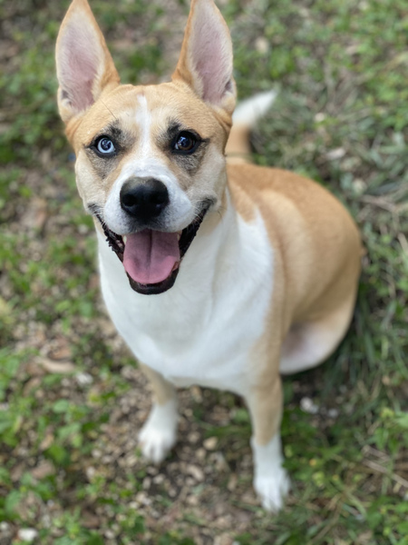 Zoey