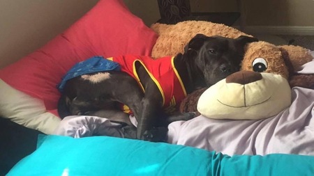 Cinder 