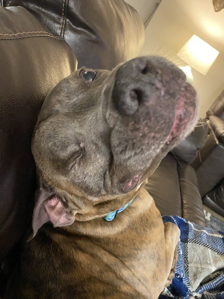 Gideon "Giddy"