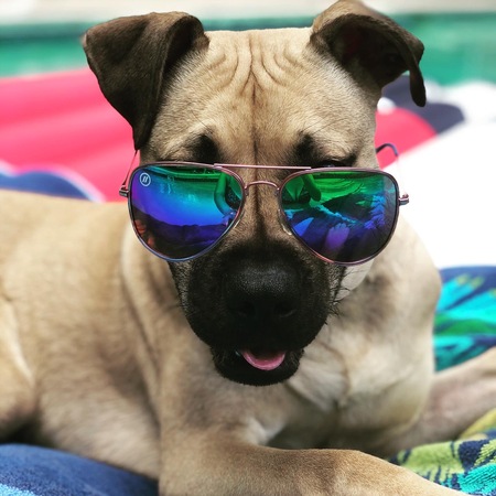 Jax