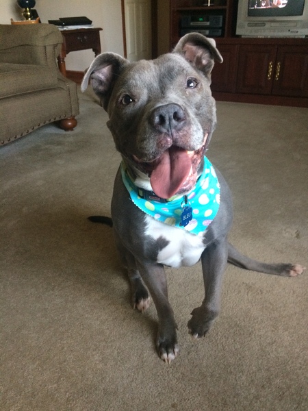 Bleu