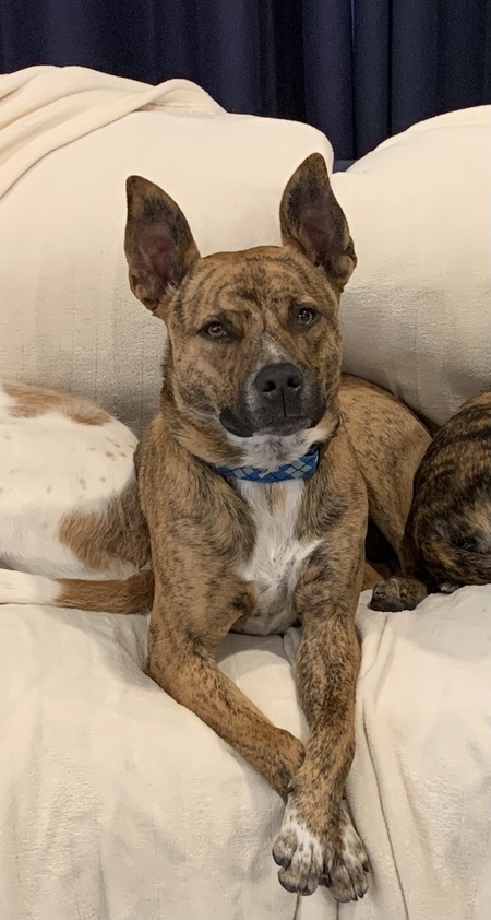 Zeke