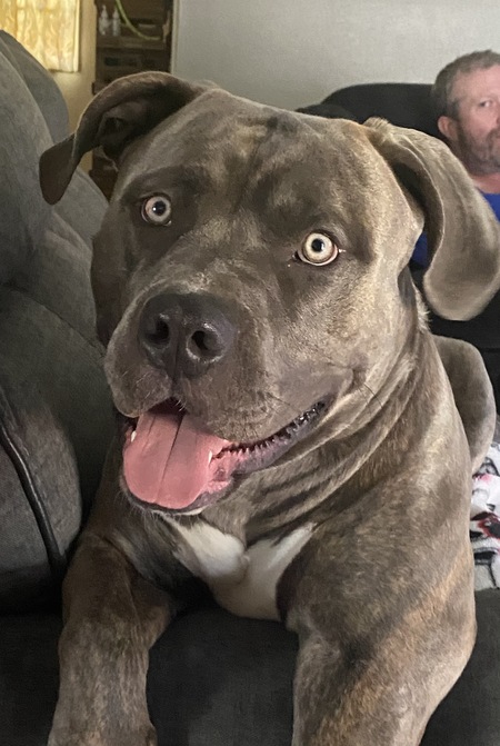 Atlas 