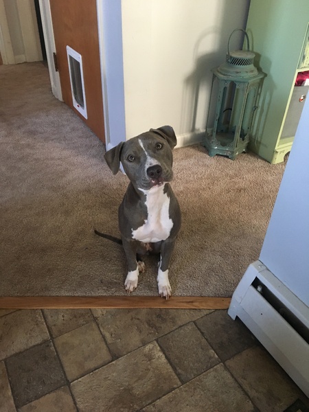 Roxy