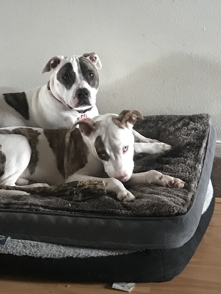 Sophie and Duncan